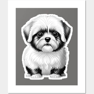 Black & White Cartoon Illustration of a Havanese Puppy Posters and Art